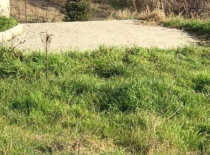 Apartamento Zori - Sarafovo Sp *