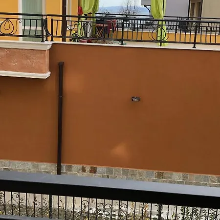 Zori - Sarafovo Sp * بورغاس